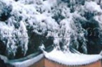 玉泉山