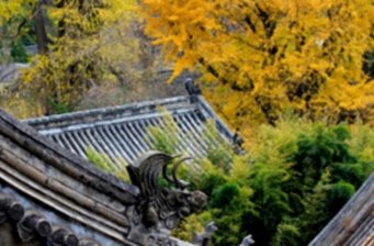 北京潭柘寺景區