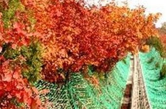紅螺寺滑道