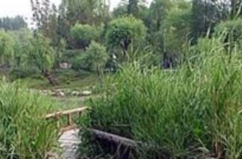柳蔭公園