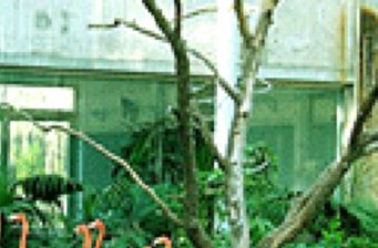 北旭野生動(dòng)物園
