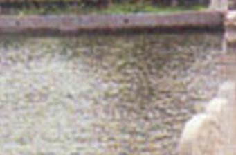 窯洼湖公園