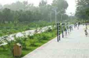 杜仲公園