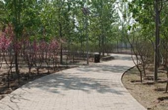 萬豐公園
