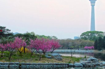 玉淵潭公園
