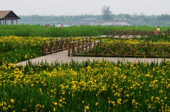 大運河森林公園