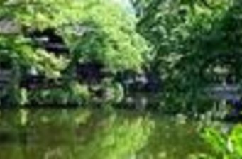 園中園
