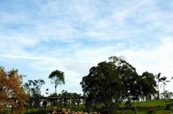 白河郊野公園
