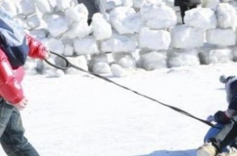 龍潭湖冰雪嘉年華