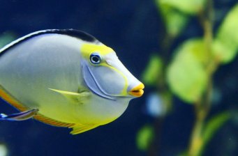 太平洋海底世界