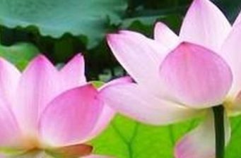 漫谷樂園
