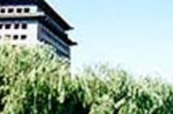 當鋪李