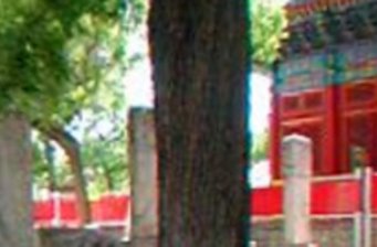 睿親王府