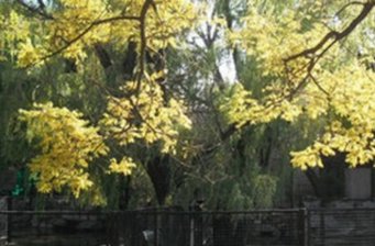 幽風堂