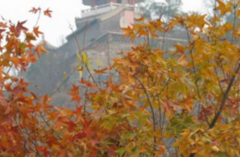 百望山森林公園