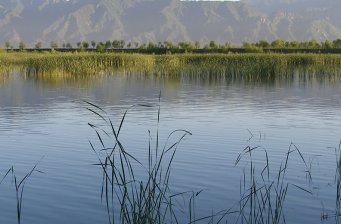 野鴨湖風景區
