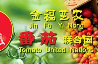 番茄聯合國