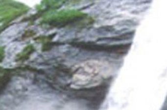 石城鄉