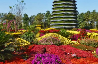 北京國際鮮花港