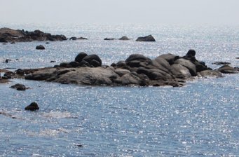 海山奇觀