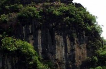 烏龜爬山
