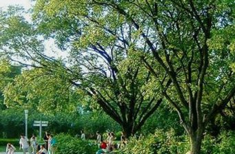 人民公園