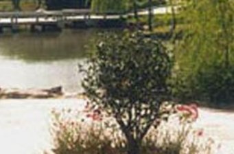 漕河涇開發區公園