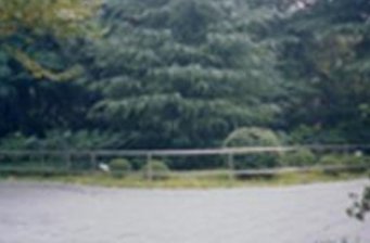 華山兒童公園