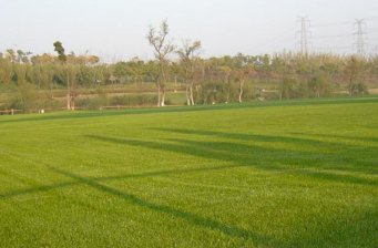 閔行體育公園