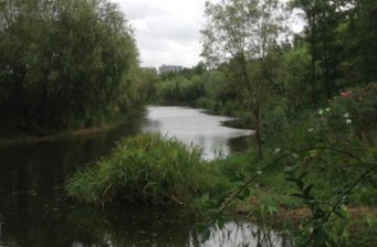 新江灣城濕地公園