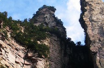 神鷹護鞭