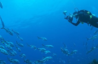 北海海底世界