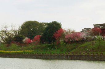 雄村