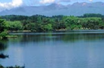 白河村