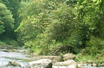 蛤蚌河原始生態(tài)游風景區(qū)