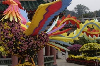 圓玄學(xué)園