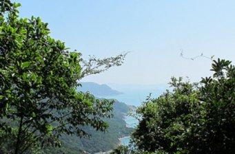 龍脊