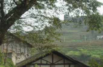 中山古鎮(zhèn)