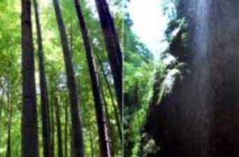天井峽地縫