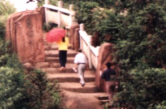 駱來山風景名勝區