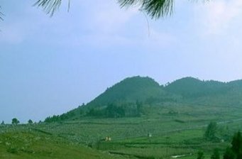 千野草場(chǎng)