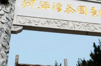 御海灣茶園