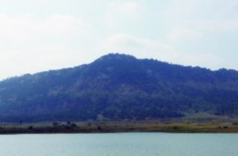 羽山