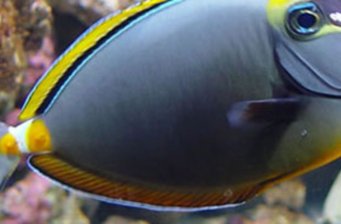 中泰海洋世界