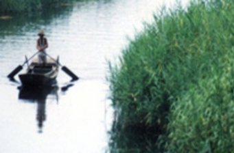 漁人樂園生態(tài)園