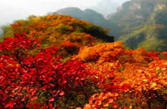 焦作青龍峽風(fēng)景區(qū)
