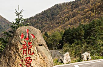 小龍?zhí)? title=