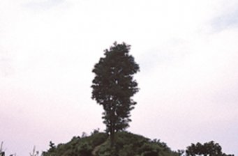 后周皇陵