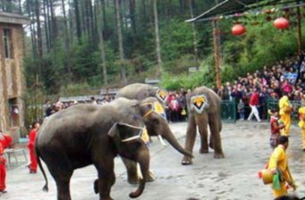 扎佐森林野生動物園