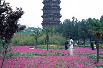 鐵塔公園